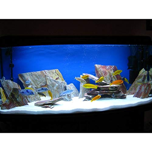 Retne Natur Rainbow Slate - Placas de pizarra para decorar acuarios y terrarios (5 kg)