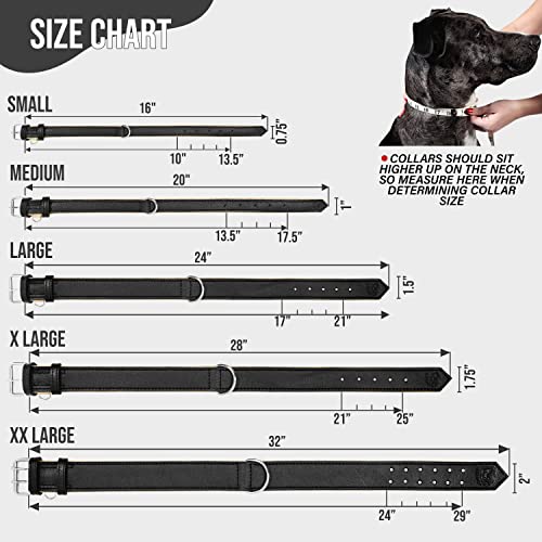 Riparo Collar de perro acolchado de cuero genuino Collar de mascota ajustable K-9 fuerte (M: 2,5cm de ancho para cuello de 36,8cm - 44,5cm, Negro)
