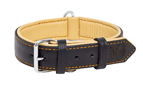 Riparo Collar de perro acolchado de cuero genuino Collar de mascota ajustable K-9 fuerte (S: 1,9cm de ancho para cuello de 28cm - 34,3cm, Hilo Negro/Naranja)