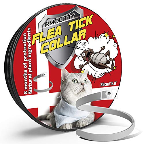 Rmolitty Collar Antiparasitario Gato Collar para Garrapatas, 8 Meses de Protección para Gato (35cm)