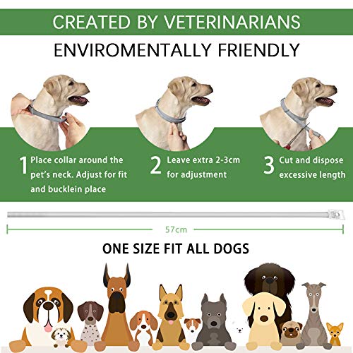 Rmolitty Collar Antiparasitario Perro, Collar para garrapatas, 1 Paquetes Aceite Natural 8 Meses de Protección para Grande Medio Pequeña Perros (57cm)