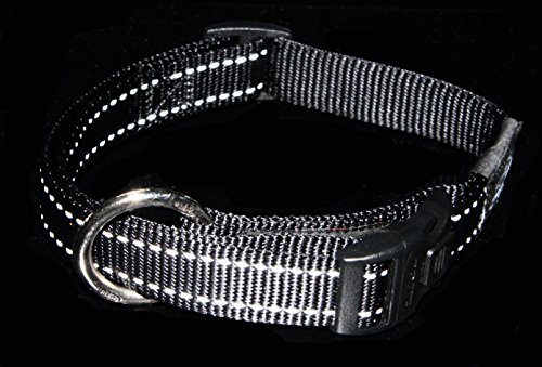 Rogz Collar de Perro Reflectante, Tipo cinturón, de 1,9 cm