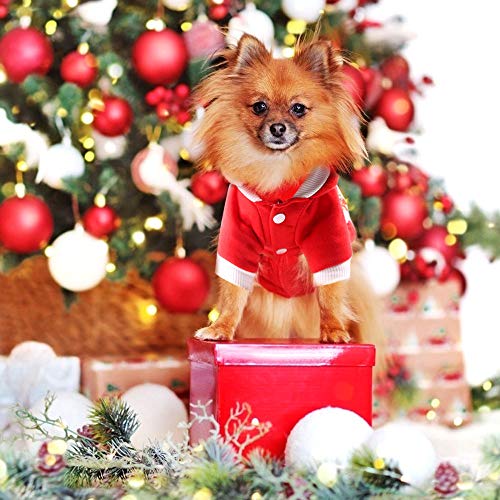 Ropa para Mascotas Navidad, Ropa Perros Navidad, Traje Navidad Perro Pequeño, Perro Navidad Disfraz, Disfraz Papá Noel Pet, Disfraz Navidad Mascotas, Disfraz Perro Gato de Navidad
