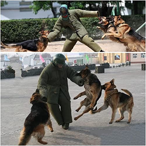 Ropa Protectora para Perros De Adiestramiento, Chaqueta Protectora De Manga De Mordida De Perro Policía, Suministros Profesionales para Mascotas Large