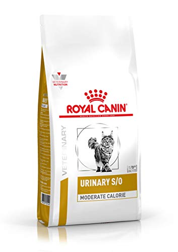 ROYAL CANIN Alimento para Gatos Moderate Calorie UMC34-9 kg