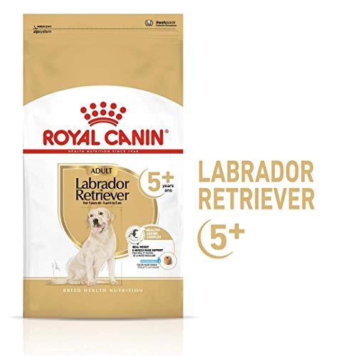 ROYAL CANIN BHN Labrador Retrev Ad +5 12000 g