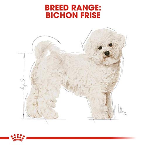 Royal Canin Bichon Frise - Comida para perros de 1,5 kg