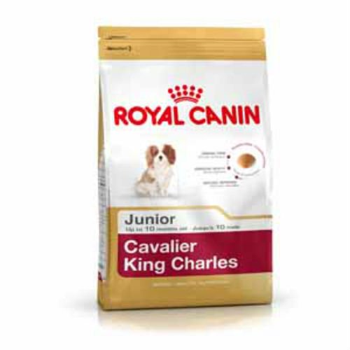 Royal Canin Cavalier King Charles - Comida para perros (1,5 kg)