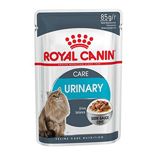 ROYAL CANIN Feline Urinary Care in Sosse | 12 x 85 g comida para gatos