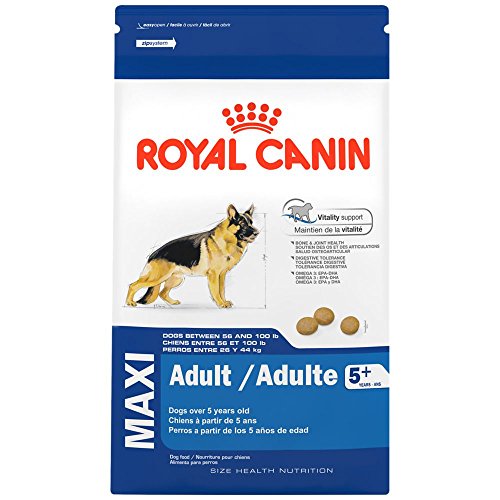 Royal Canin Maxi adult 5+ para perros mayores de 5 años - Envase 4Kg