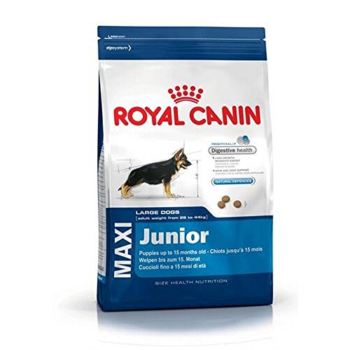 Royal canin maxi junior pienso perros raza grande - Envase 4Kg