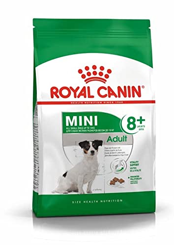 Royal Canin Mini Adulto 8+, una bolsa de 2 kg