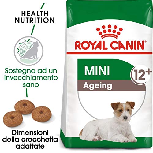 Royal Canin Mini Envejecimiento 12 +, Mature Adulto Seco Alimento Perro 3.5 kg (Pack de 2)