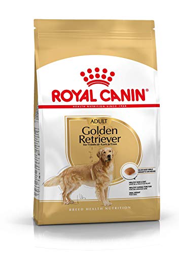 ROYAL CANIN perro Golden retriever materia seca kg 3 Comida seca perros