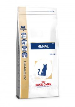 Royal Canin Pienso para gatos con problemas renales