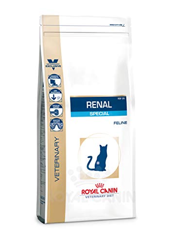 Royal Canin Renal Special - Comida para Gatos, 500 gr
