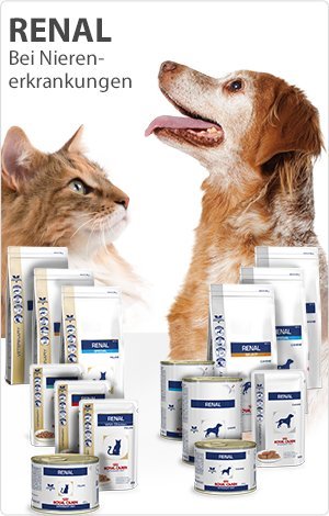 Royal Canin Vet Diet Renal Select - Pienso seco para gatos (2 kg)
