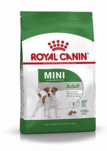RoyalCanin Mini Adult 2kg. Comida para Perros de Razas Pequeñas y Toys | Pienso Gastrointestinal con Gran Sabor Que Controla el Peso, Elimina el Sarro Dental y Mantiene el Pelo y la Piel Saludables