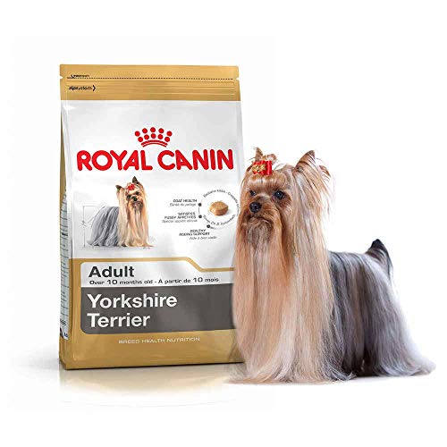 RoyalCanin Yorkshire Terrier Adult 3 kg | Pienso para Alargar la Vida de tu Perro Retrasando el Envejecimiento | Fortalece Defensas, Evita la Formación de Sarro y Mantiene el Pelo Sano y Radiante