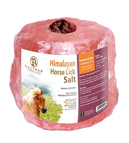 SALTEAN Sal rosa natural de caballos, sal de forma natural con fuerte cuerda para colgar, apto para todos los animales, 1 kg