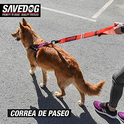 SAVEDOG Cinturón Seguridad para Perros. El cinturón Correa más Seguro del Mercado para el Coche, resiste 1.000kg. Cumple con la ISO 27955:2010.Ref.027172050102