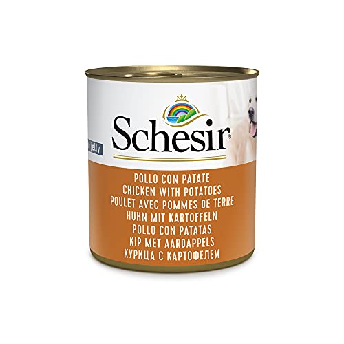 Schesir, Comida húmeda para Perros Adultos, Sabor Pollo con Patatas, filetes en gelatina Blanda - Total 4,56 kg (16 latas x 285 gr)