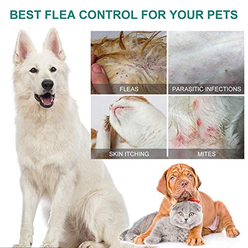 SEGMINISMART Pulgas Spray,Flea Spray,Anti pulgas,Spray de protección contra pulgas,Apto para Perros y Gatos,Spray de protección contra pulgas y garrapatas para Perros