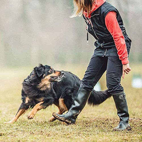 Silbato para perros CYWVYNYT, 2 silbatos ultrasónicos profesionales, accesorios ajustables para perros de alta frecuencia, silbato para perros para entrenamiento de perros contra los ladridos