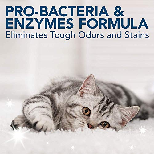 Simple Solution removedor de manchas y olores para gatos | Limpiador enzimático con potencia de limpieza pro-bacterias - 1 litro