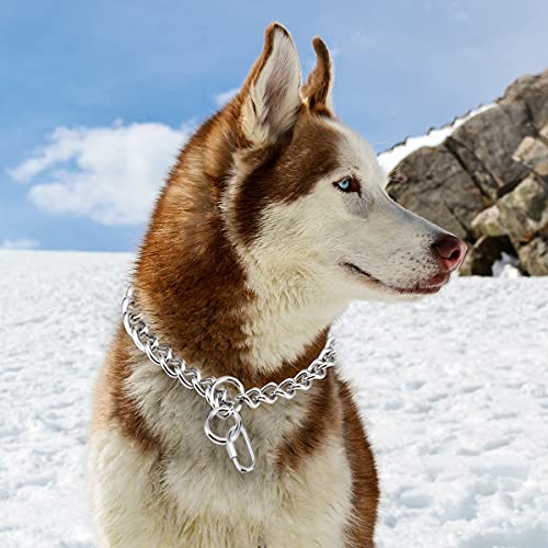SIVEIS Collar para Perros de Acero Inoxidable, Collare de Adiestramiento para Perros Ajustable con Hebilla, Collar de Metal de Perros Cachorro Medianos y Grandes (5.0mm*60cm)