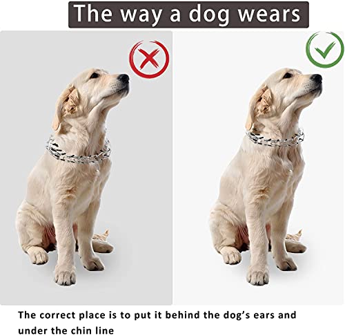 SLE Collar de adiestramiento para Perros, Dog Choke Prong Collar, Collar de adiestramiento de Acero Cromado,Collar de Castigo de Metal para Perros con púas.(Silver-M)