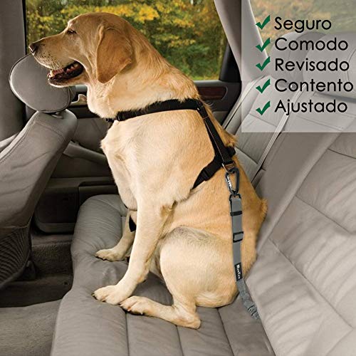 SlowTon Cinturón Perro Coche, Mascotas Cinturón de Seguridad para Perro - Ajustable,Hebilla Universal de Nylon para Mascotas de Viajes