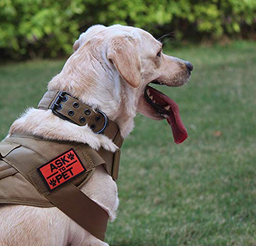 S.Lux Collares de Perro de Nylon, Anti-Desgaste Entrenamiento táctico al Aire Libre Cinturones de Perro de led Collar de Perros Grandes Negro Verde Marrón Collar (Caqui, M)