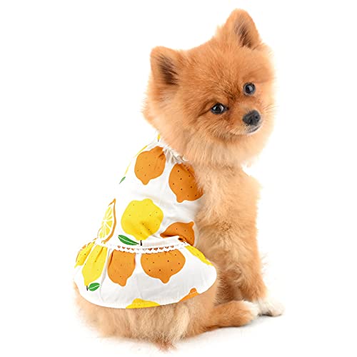 SMALLLEE_LUCKY_STORE Vestido de mascota para perro pequeño y gato, niña, perrito, ropa de verano, falda de cachorro de limón, traje de vacaciones, ropa de fiesta de playa