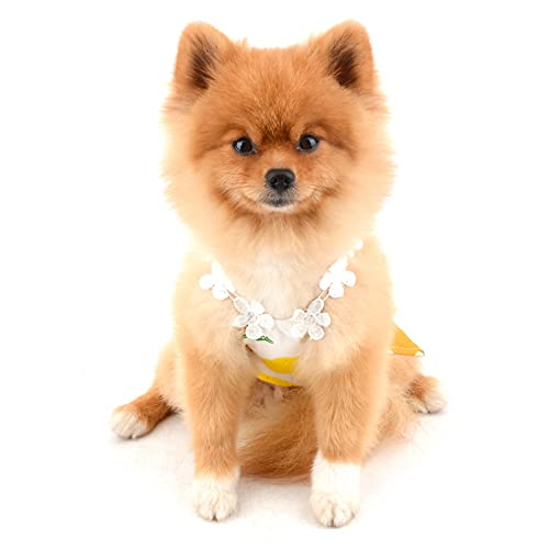 SMALLLEE_LUCKY_STORE Vestido de mascota para perro pequeño y gato, niña, perrito, ropa de verano, falda de cachorro de limón, traje de vacaciones, ropa de fiesta de playa