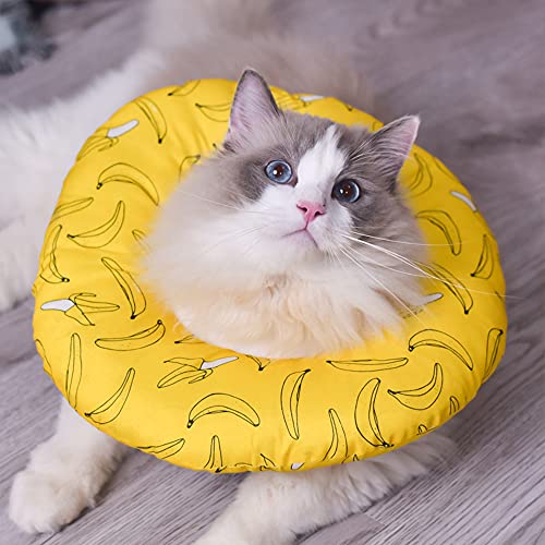 SMELL & SMILE Collar Isabelino Gato Collar de Recuperación para Mascotas Collar Protector para Gato Collares Cono de Suave Color Aleatorio(19-36CM)