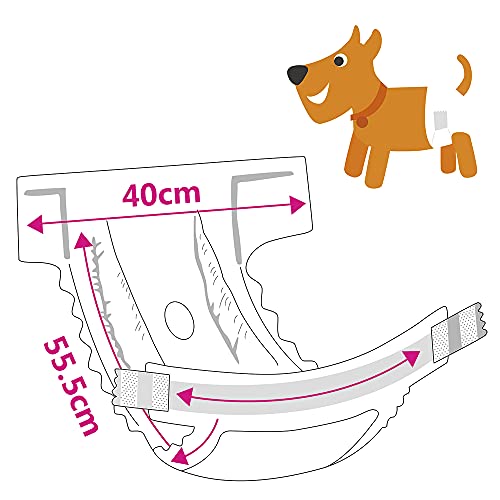 SMELL & SMILE Pañales Desechables para Perro Pañales para Perros Hembra Pañal Sanitarios para Perro Mascotas Bragas Higiénicas Suaves absorbentes (M)