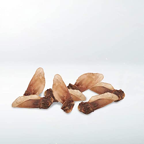 Snack Deshidratado para Perros - Orejas de Ternera con Carne - Bolsa de 1 kg - 10 Uds. Aprox - 100% Carne de Ternera - Sabor Único - Encías Saludables - 100% Natural - Fabricado en España - GESPETFOOD