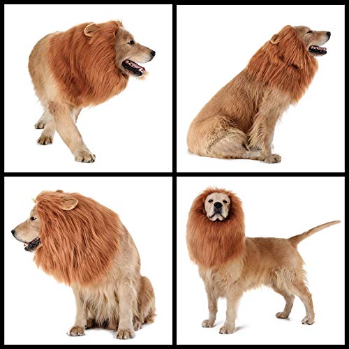 Soapow Peluca divertida de león para perro, melena de león, disfraz de Halloween ajustable, para perros de gran tamaño