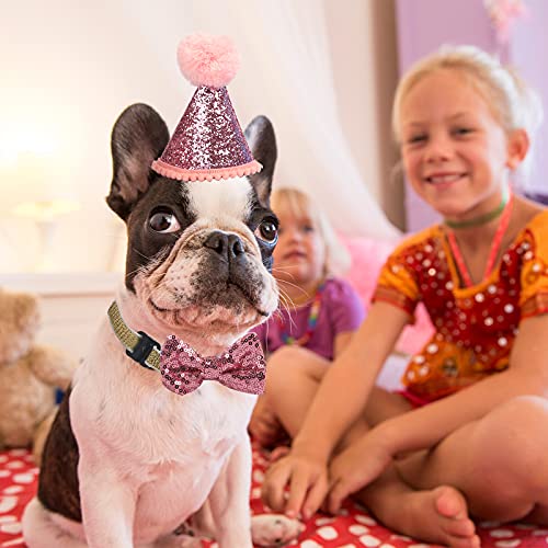 Sombrero de cumpleaños de Perro para Mascotas, Fiestas, Gatos, Gorros, Accesorios de Aseo, Diadema Ajustable, Pompones, Color Azul (Rosa)