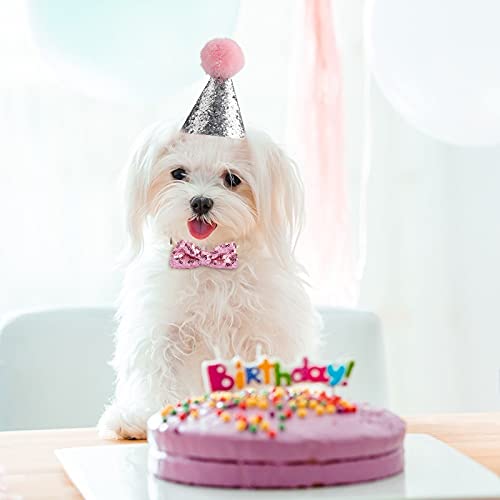 Sombrero de Cumpleaños para Mascotas Gorro Fiesta Perro Gato con Corbata de Pajarita Lentejuela para Cachorro Gatito 2 Piezas