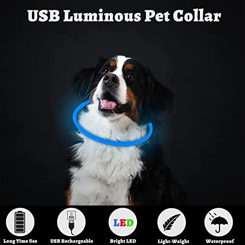 SONNIG LED Collar Luminoso Perro, Collar Perro Luminoso Recargable y Ajustable con 3 Modos de Luz, Seguro para Perros Pequeños, Medianos y Grandes por la Noche, Azul