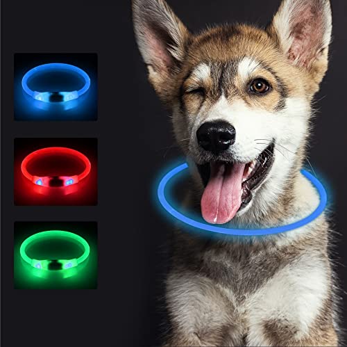 SONNIG LED Collar Luminoso Perro, Collar Perro Luminoso Recargable y Ajustable con 3 Modos de Luz, Seguro para Perros Pequeños, Medianos y Grandes por la Noche, Azul