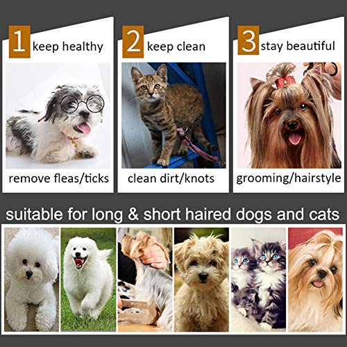 SOOJET Peines para Perros, Peine de Peluquería Canina Peine Doble Peine de peluquería Cepillo para Perros de Acero Inoxidable Peine para Cuidado de Mascotas (1PCS)