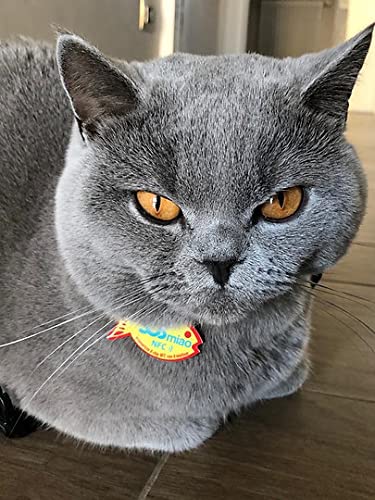 SOS BAU & Miao - Collar con placa localizador NFC para perros y gatos (SOS Miao)