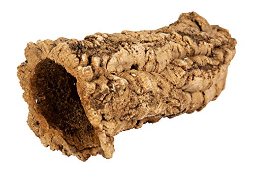 sphagnum-shop.com Corcho, corteza de corcho natural, 15 – 20 cm de largo, 6 – 7 piezas, corteza de corcho natural, terrario, decoración