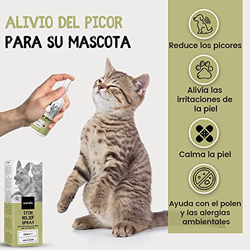 Spray Antipicores Perros y Gatos 250 ml | Calmante para Picores Dermatitis Puntos Calientes
