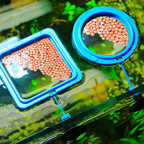 SRunDe 4piezas Alimentador de peces de acuario anillo de alimentación cuadrado redondo círculo de comida flotante estación de alimentación para peces de colores Guppy Betta escamas pellet alimentos