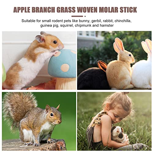 STOBOK 3 Conjuntos de Juguetes de Masticación de Conejo Bunny Chew Juguetes para Los Dientes Pequeños Animales Mujer Molar Juguetes para Juguetes DE Salud Dental para COPBITS Chinchillas