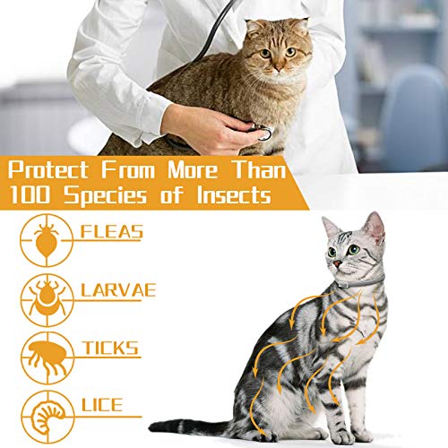 Sugelary Collar Antiparasitario para Gatos, Protección de 8 Meses, Tamaño Ajustable e Impermeable, Mejorado con Aceites Esenciales Naturales, Tratamiento-antipulgas-para-Gatos(2)